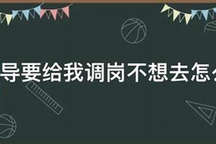 属蛇的夫妻适合生什么宝宝最好呢