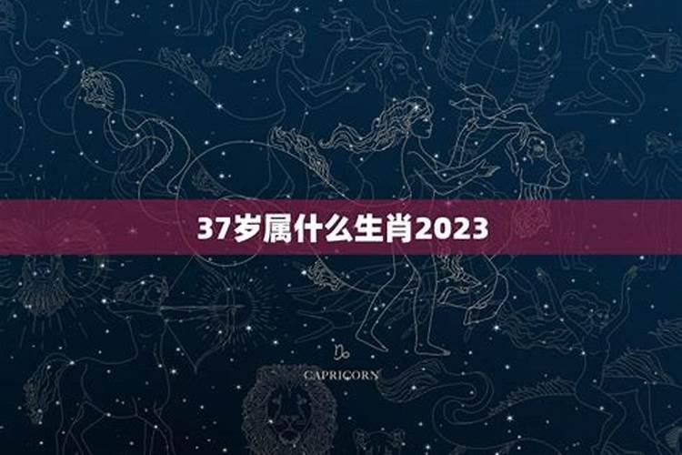 2023年37岁属什么的生肖