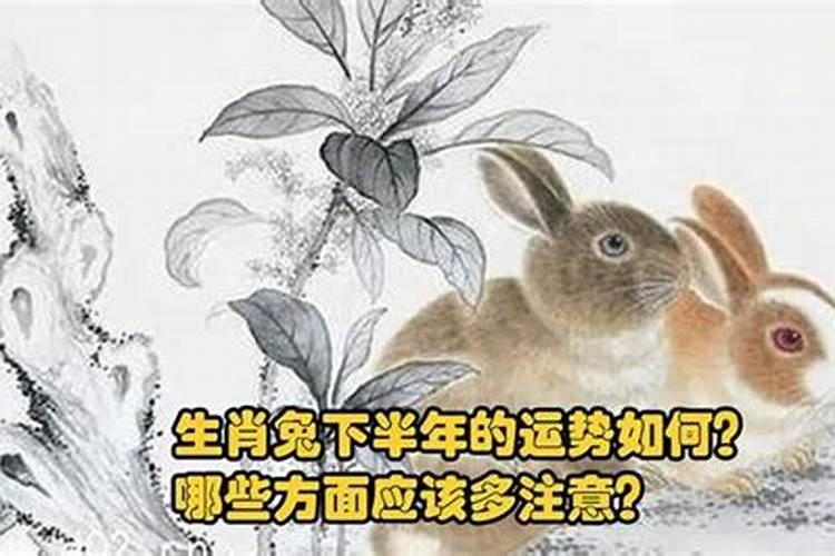 梦见朋友生孩子自己怀孕是什么意思