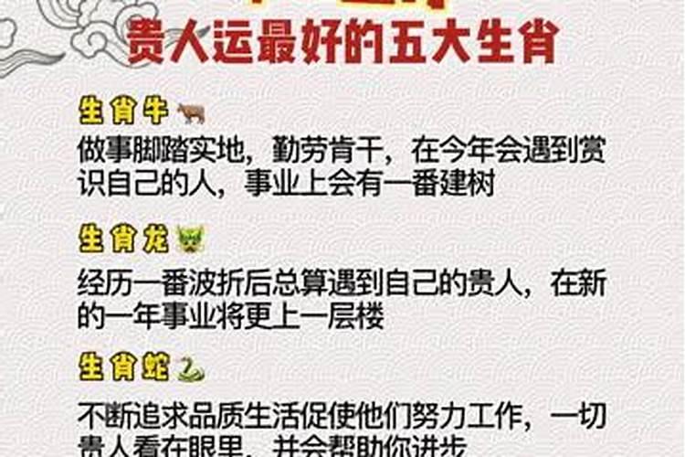 属龙的人是什么星座9岁