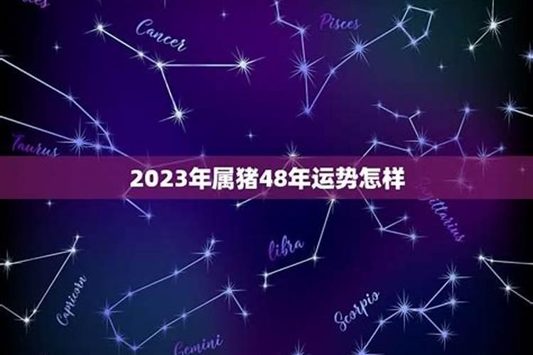 2024年兔年犯太岁化解