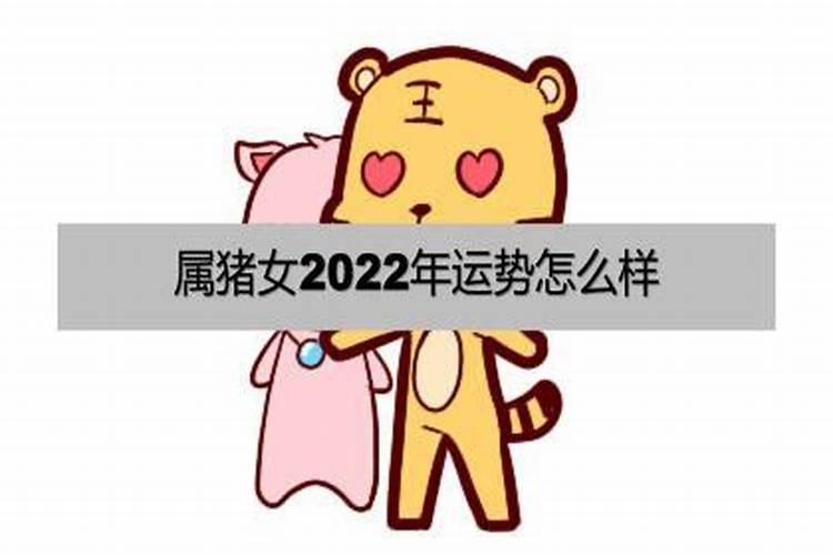 属猪女2022年财运如何