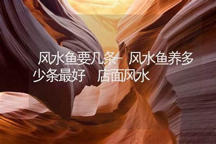 老婆属马老公属龙生什么属相宝宝好