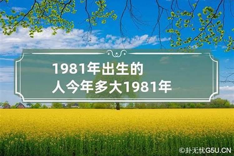 1981年的人今年的运势