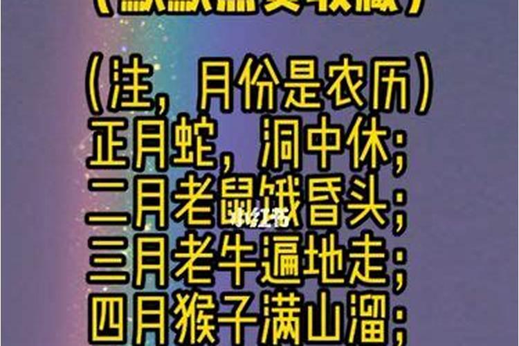 1996年出生属鼠2024年运势