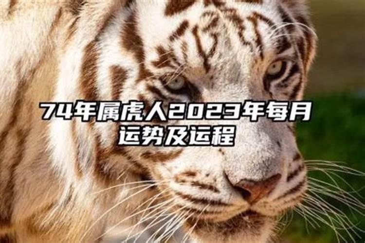 86年男虎2022年运势及运程