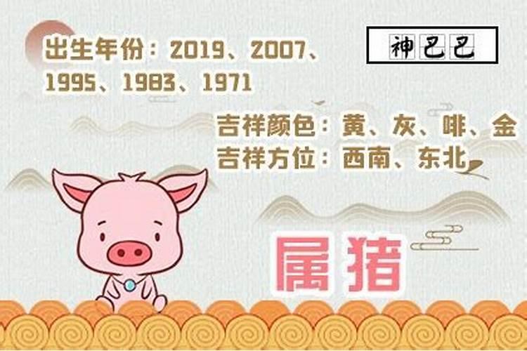 生肖猪2021年的幸运颜色是什么