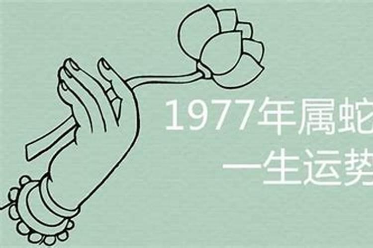 1977年属蛇女一生运程