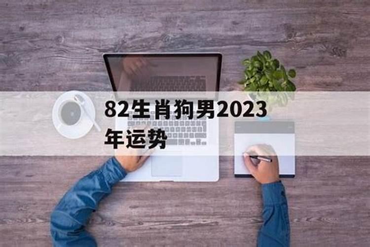 82年属狗男人2023运势如何