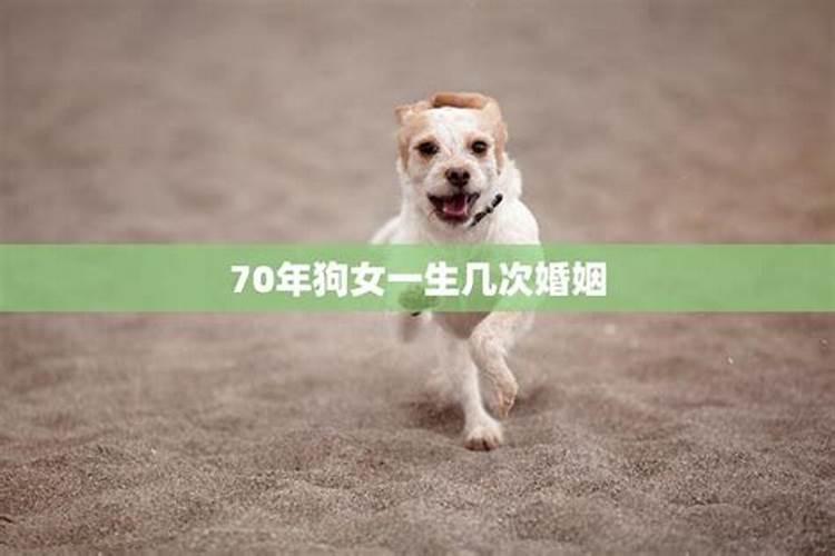 属猴的幸运色是什么颜色2022