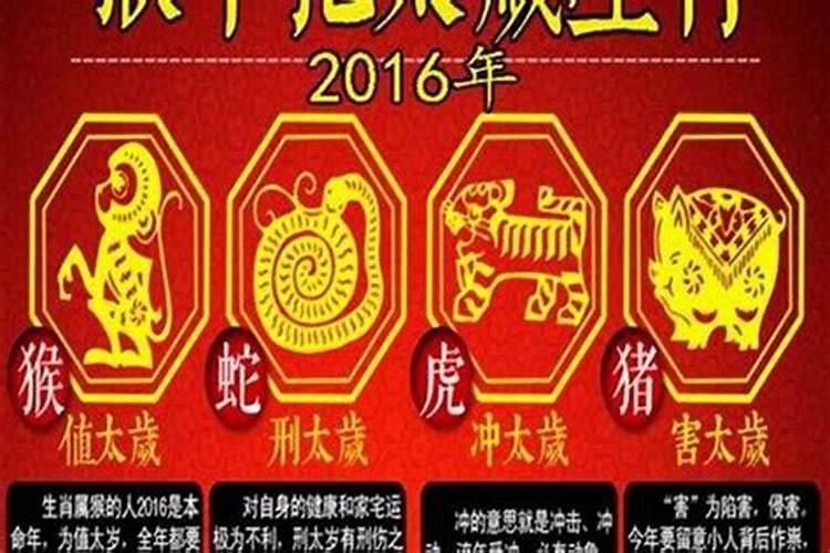 2023虎人全年运势如何