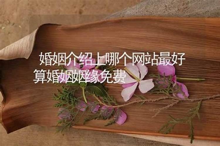 梦见自己死去的亲人穿白孝衣好不好