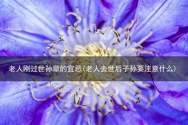 中元节祭奠父母摆多少供品呢