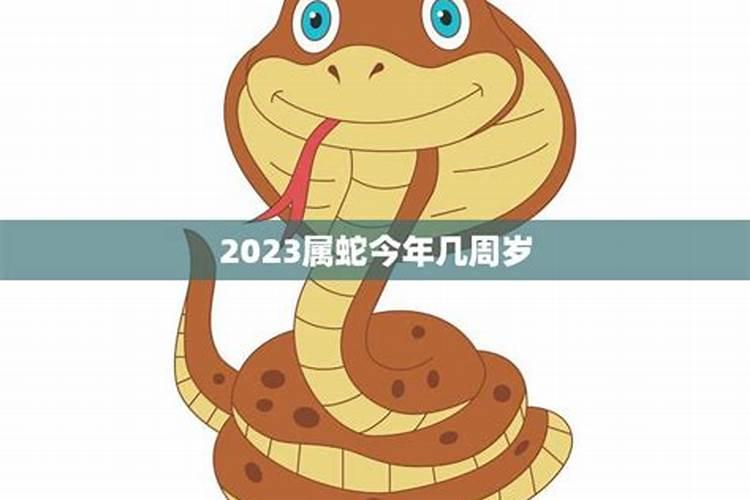 属蛇2021年多少周岁