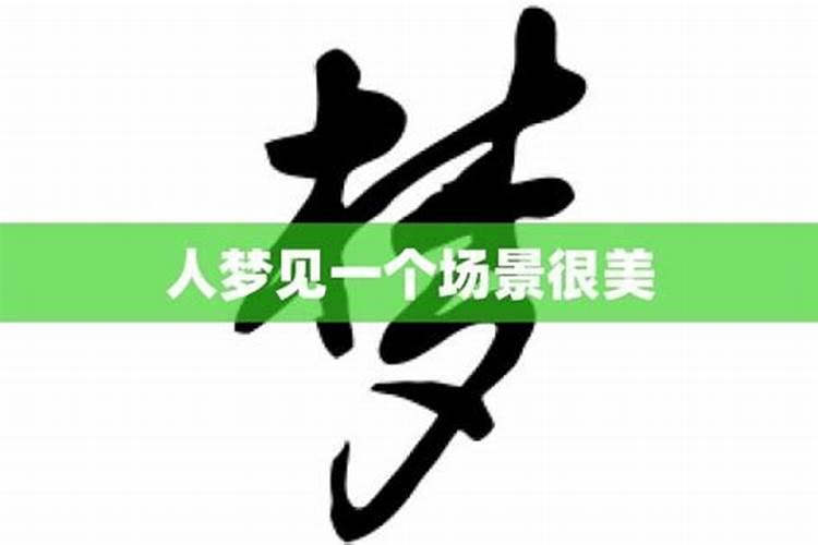 八字有根无根表乙木