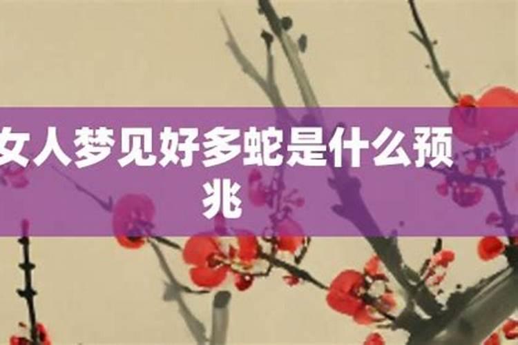 女人梦见好多蛇代表啥