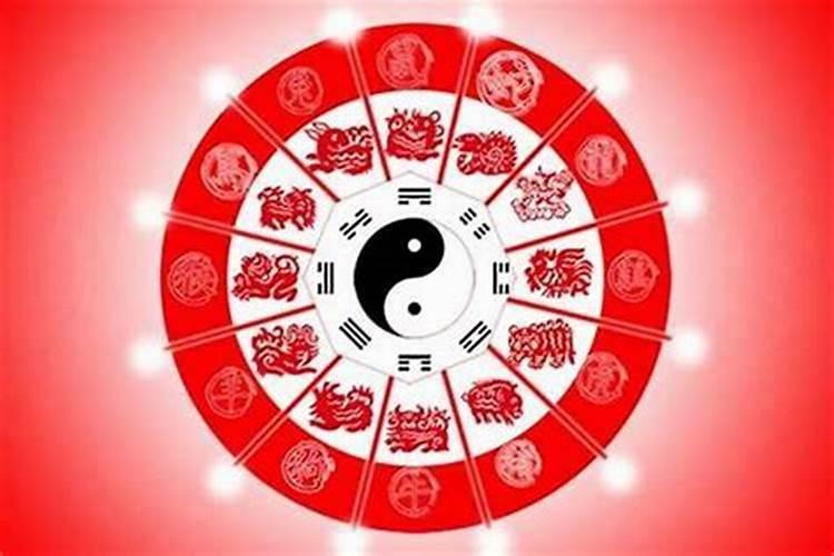 属鼠人哪一年运势好一点