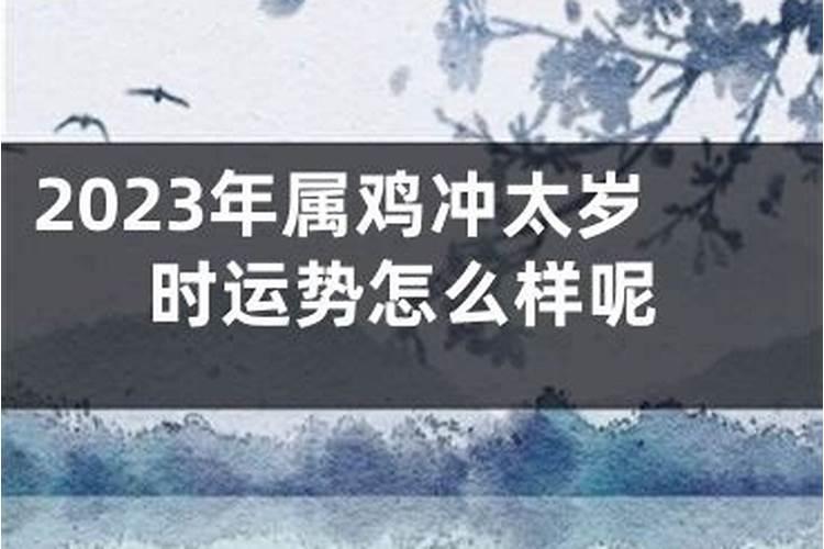 梦见抓蛇被蛇咬是什么预兆呢