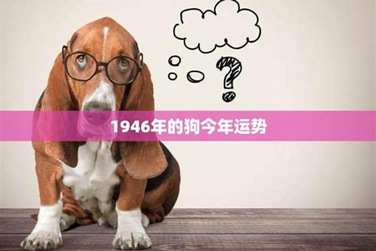 2021年年不宜生子的属相牛