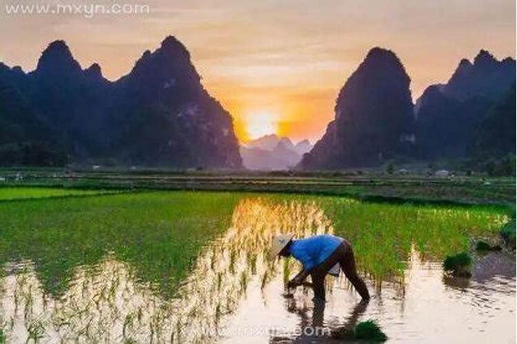 属猪男孩生在什么时辰比较好