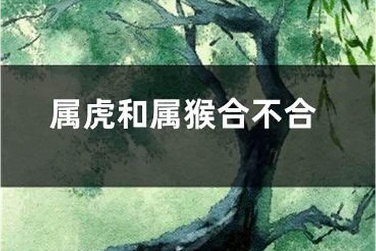 老风水师戴的衣帽