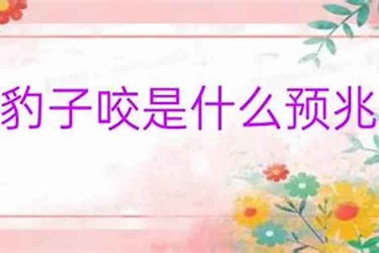 属虎的不能跟属什么的结婚呢女生