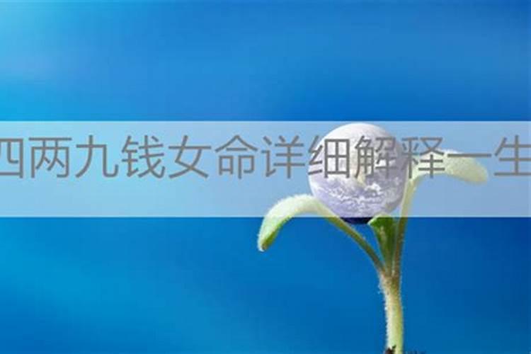 属兔202012月份运势