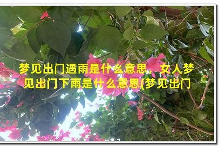 幻听阴债是什么意思