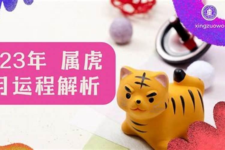 孕妇梦见猪头是什么意思