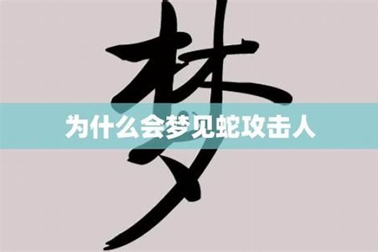 梦见家人生孩子预示将来会发生什么