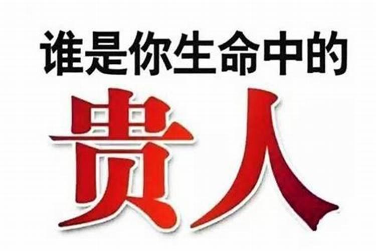 狗今年犯太岁吗2022年7月份