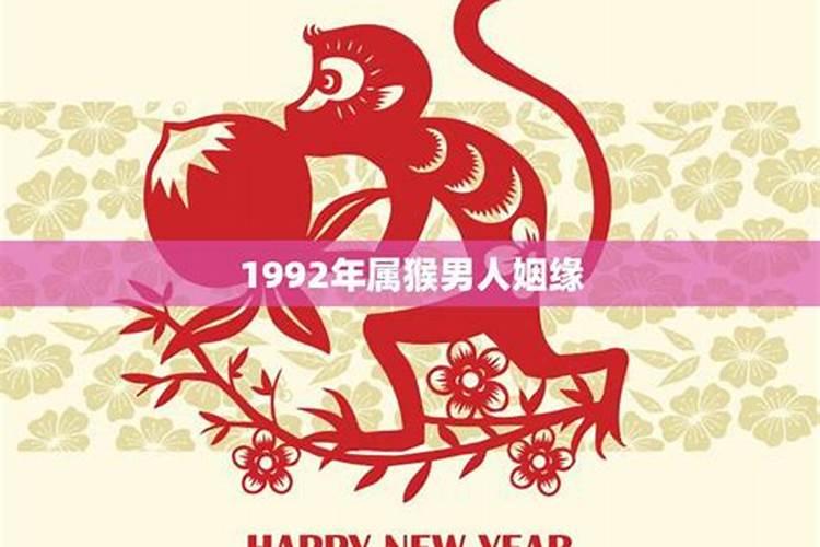 属兔人2024年运势运程方向