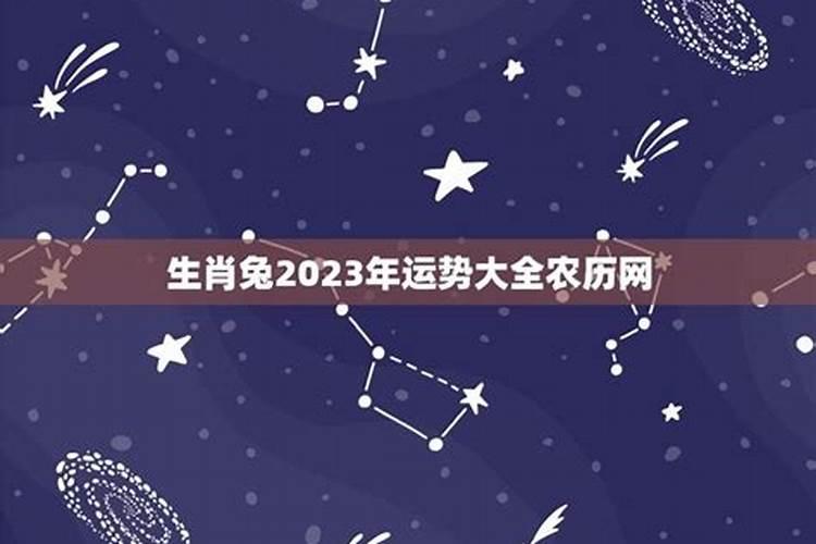 2023年生肖兔运势运程如何