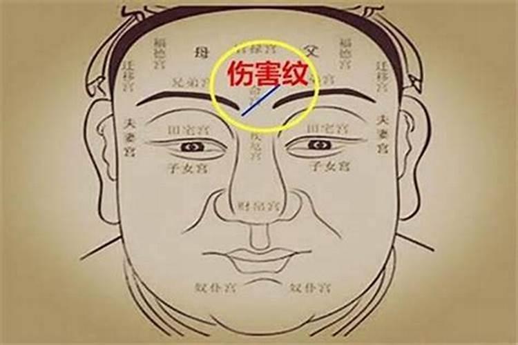 1982年属狗人的幸运数字