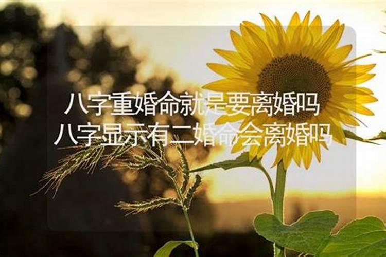 属猴的女生适合什么名字