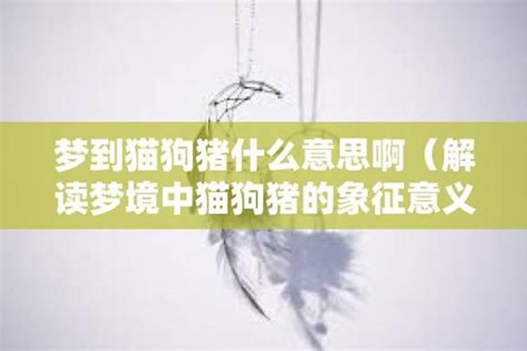 兔和鼠相克怎么化解