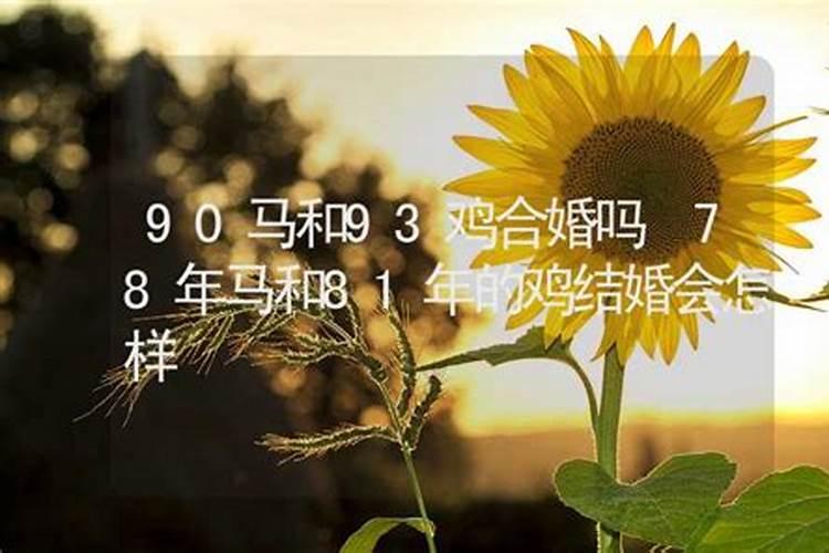 本命年爱发脾气怎么破解