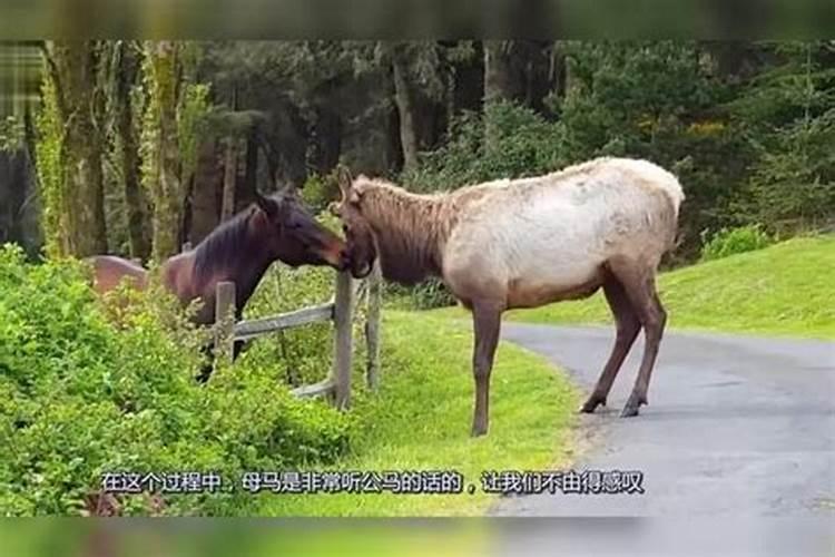 生辰八字如何在八卦上看财运