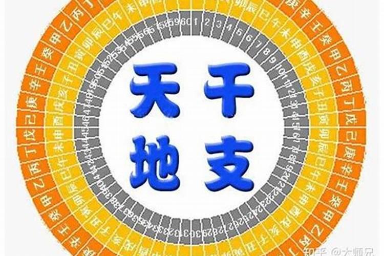 本命年狗年要注意什么