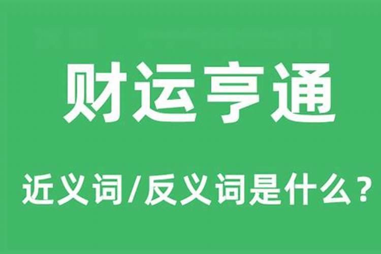 属羊的不宜相配属相