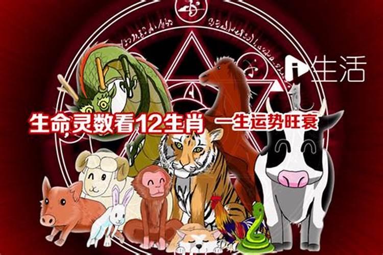 18岁哪一年出生的属什么