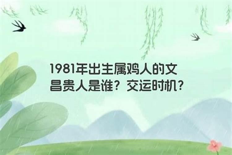 1981年女属鸡的贵人是谁