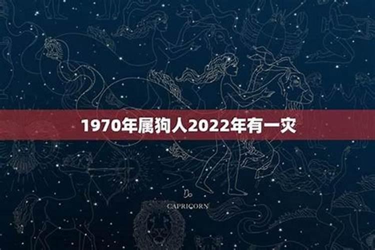 1970年属狗人2020年婚姻问题