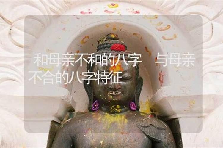 属猪带什么吉祥物护身符好