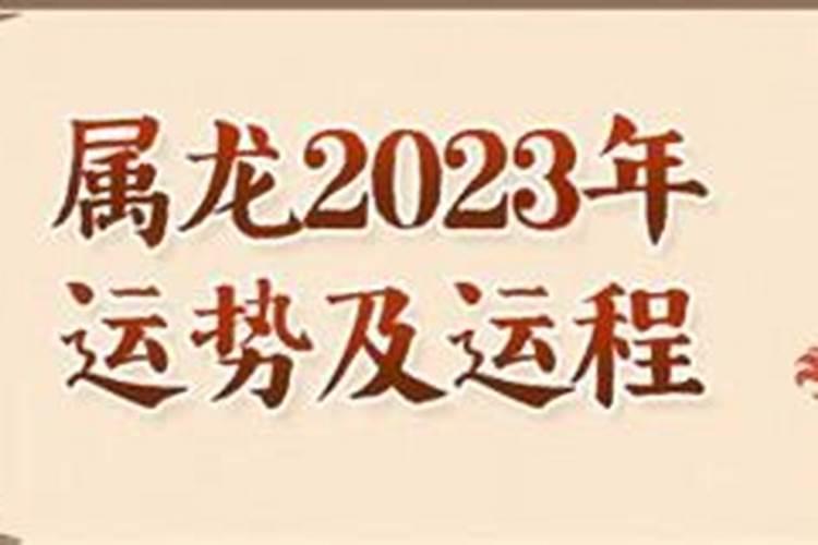 属龙2023年运势运程宋昭光