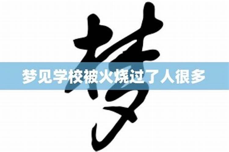 属兔今年犯太岁吗2022年8月9日