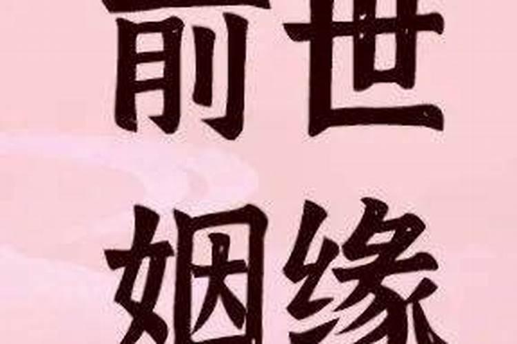 清明节缅怀革命先烈活动总结与反思