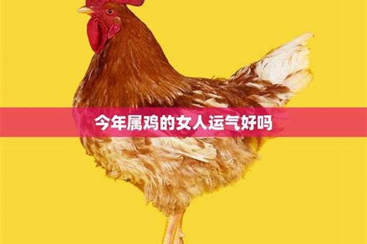 生肖属鸡今年运气怎么样