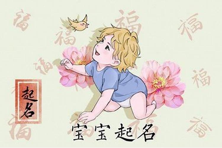 在夏至出生会怎么样