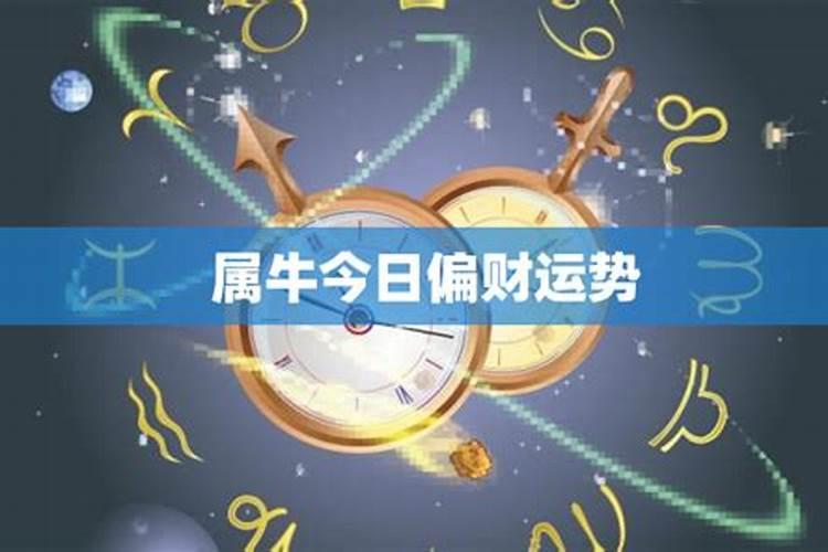 生肖兔今日偏财运如何